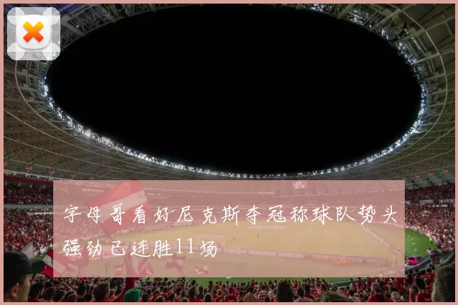 字母哥看好尼克斯夺冠称球队势头强劲已连胜11场