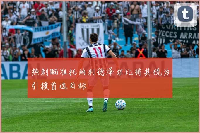 热刺瞄准托纳利德泽尔比将其视为引援首选目标
